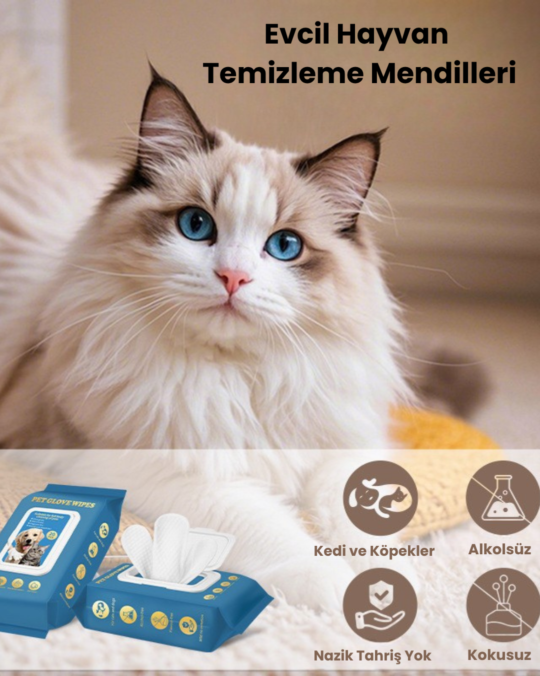 PatiSoft™  - Evcil Dostlar İçin En Hassas Bakım Deneyimi