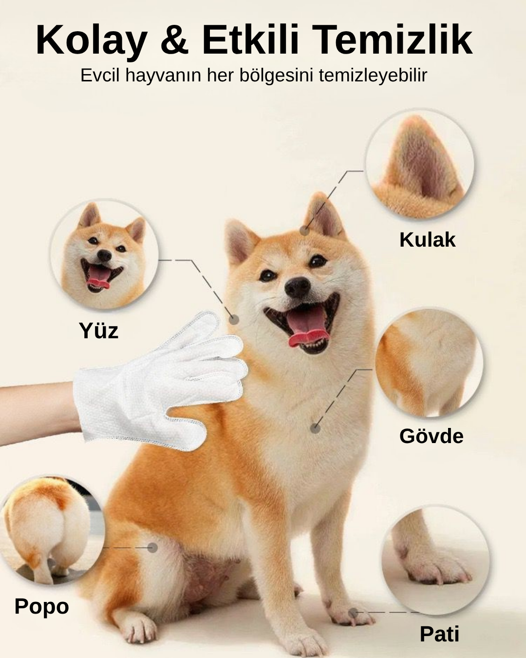 PatiSoft™  - Evcil Dostlar İçin En Hassas Bakım Deneyimi