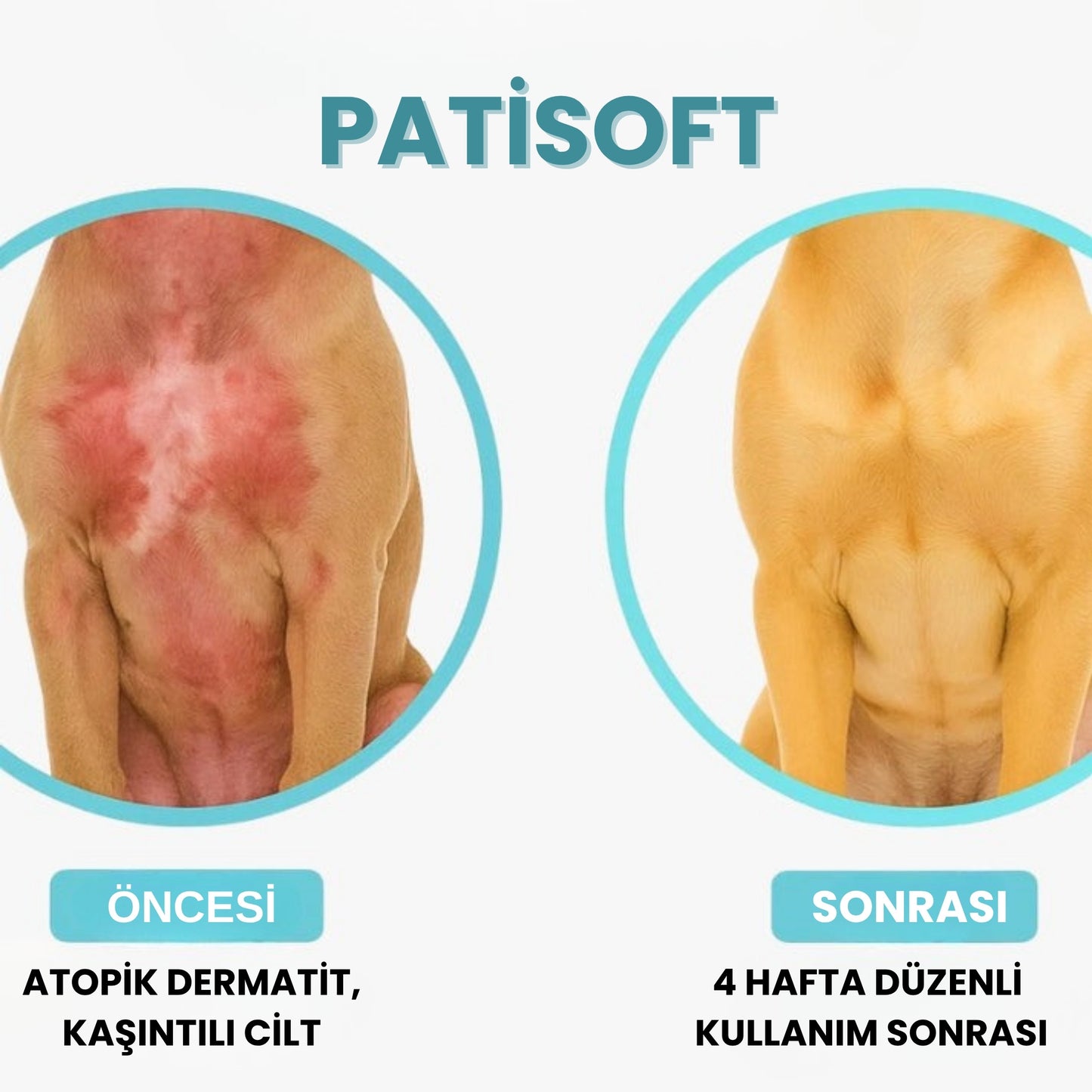 PatiSoft™  - Evcil Dostlar İçin En Hassas Bakım Deneyimi