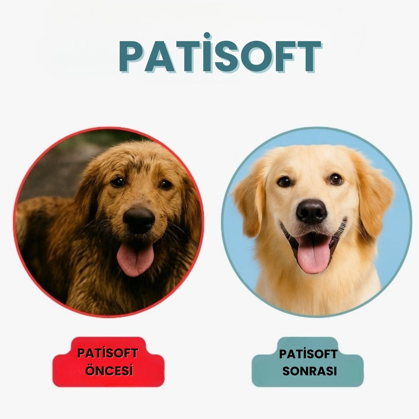 PatiSoft™  - Evcil Dostlar İçin En Hassas Bakım Deneyimi