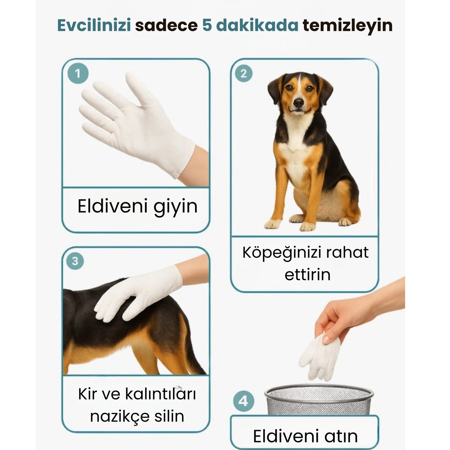 PatiSoft™  - Evcil Dostlar İçin En Hassas Bakım Deneyimi